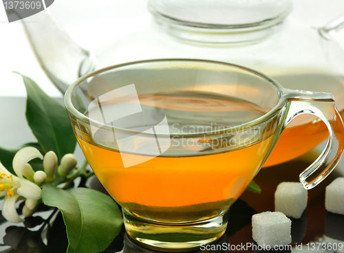 Image of green tea composition