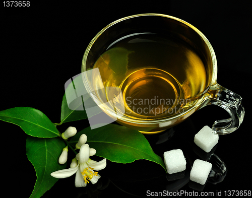 Image of cup of green tea