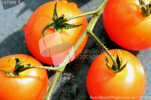 Image of red tomatoes