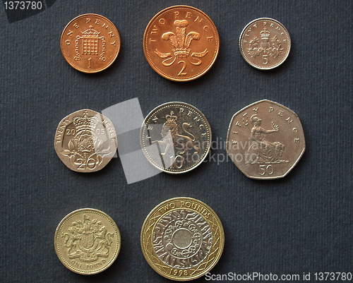 Image of Pounds