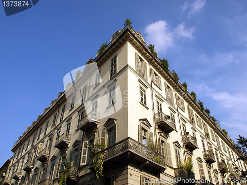 Image of Turin picture