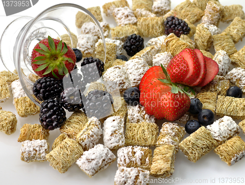 Image of Shredded Wheat Cereal 