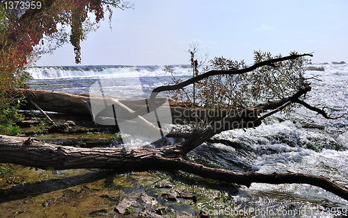 Image of mountain river 