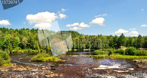 Image of summer landscape with river and forest