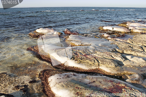 Image of Winter shore of the Caspian Sea.