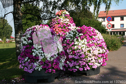 Image of Flower decoration