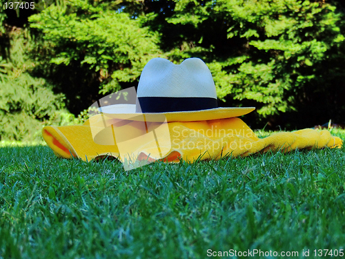 Image of panama hat and towel