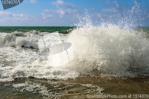 Image of Shore of the Caspian Sea.