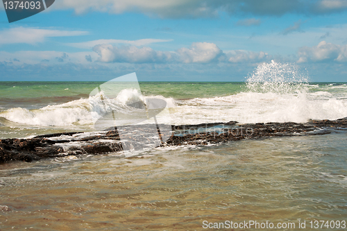 Image of Shore of the Caspian Sea.