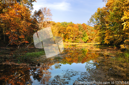 Image of colorful autumn forest with lake 