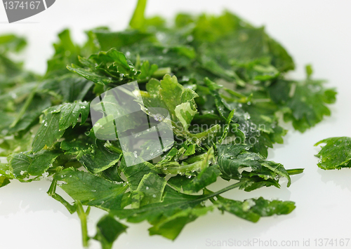 Image of frozen parsley 