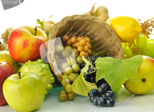 Image of autumn harvest