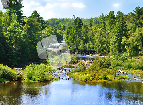 Image of summer landscape