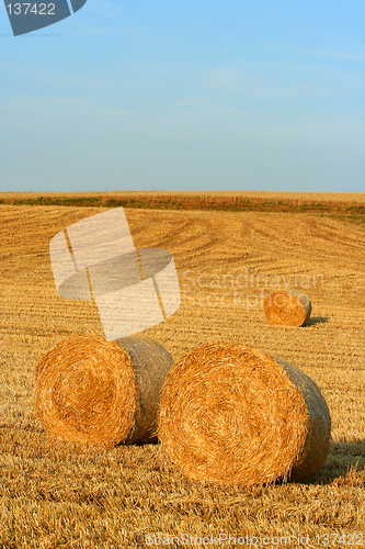 Image of hay bales