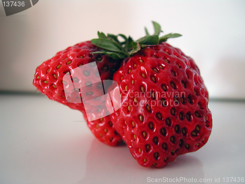 Image of Strawberry