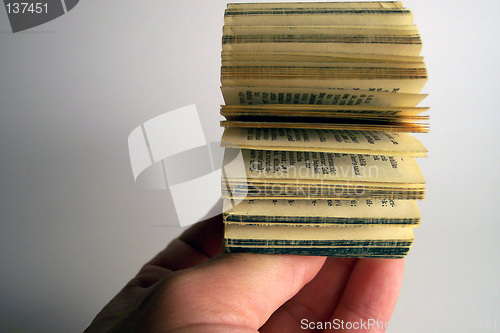 Image of tiny dictionary