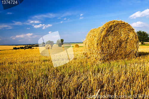 Image of stack of straw (wheat)