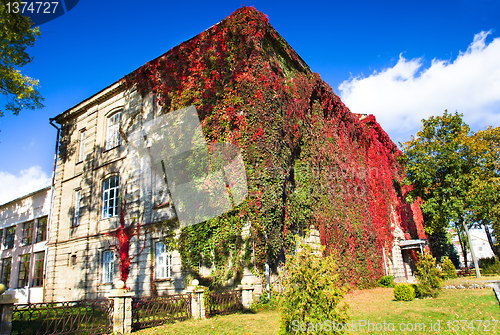 Image of University of Grodno