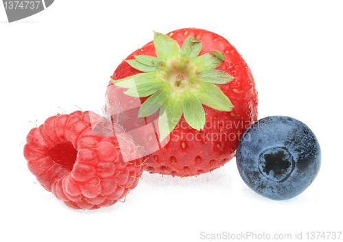 Image of Three berry fruits