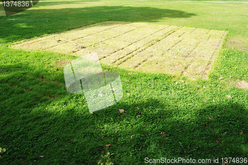 Image of patch on the green lawn