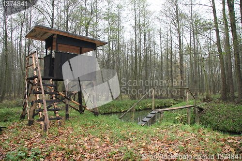 Image of Hunting Tower in Spree Wald, Germany