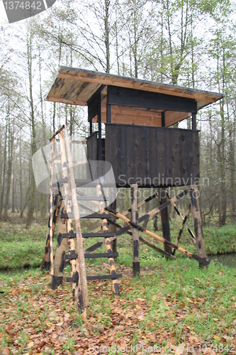 Image of Hunting Tower in Spree Wald, Germany