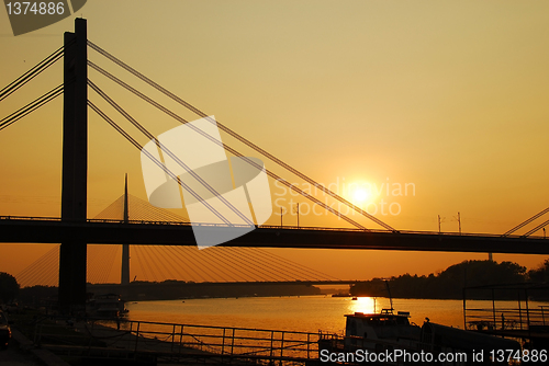 Image of Bridges in Belgrade