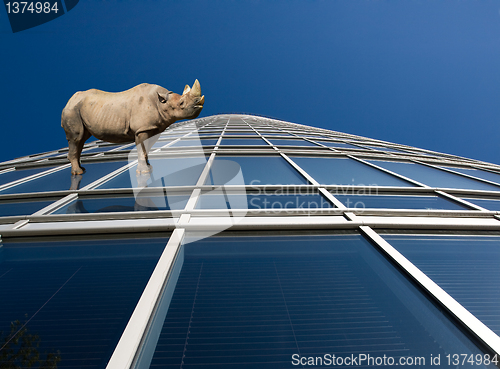 Image of Rhino standung on skyscraper windows