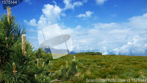 Image of Alpine landscape