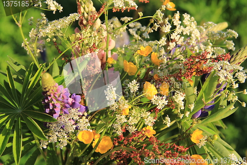 Image of colourful summer flowers