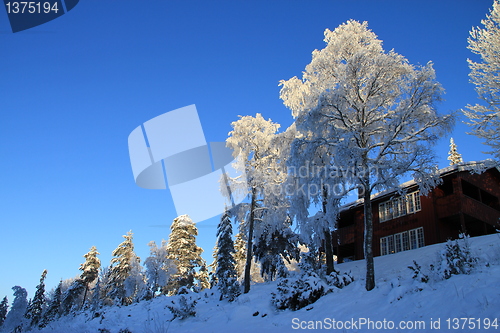 Image of winter landscape norway