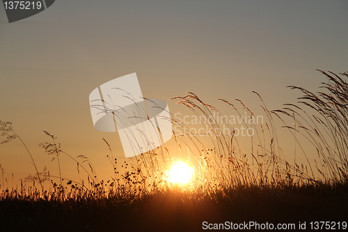 Image of Midnight sun lofoten north norway