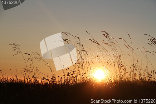 Image of Midnight sun lofoten north norway