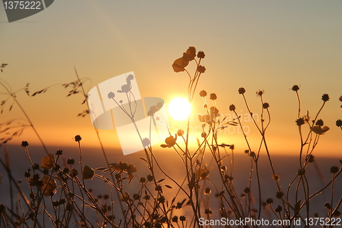 Image of Midnight sun lofoten north norway