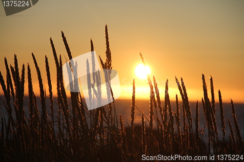 Image of Midnight sun lofoten north norway