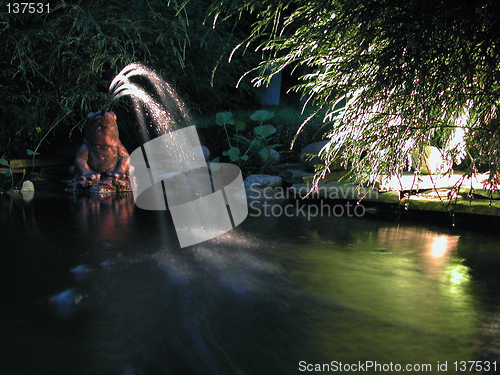 Image of Frog fountain in garden