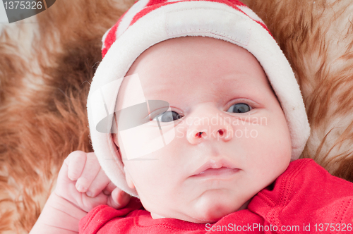 Image of Newborn baby in chritstmas hat