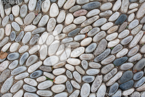Image of Cobblestone Background