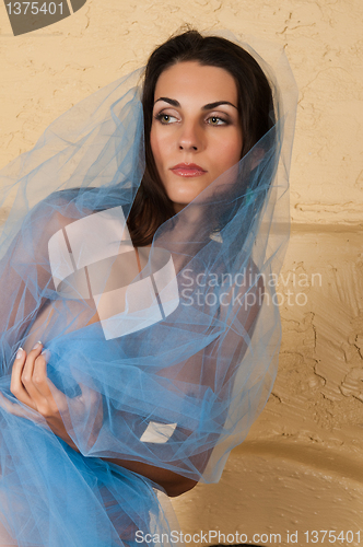 Image of Blue tulle