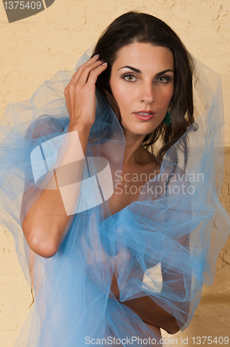 Image of Blue tulle