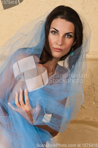 Image of Blue tulle