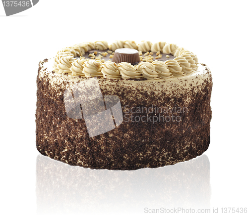 Image of chocolate peanut butter cake