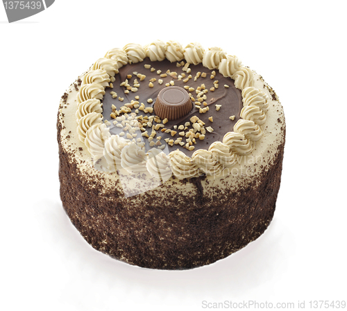 Image of chocolate peanut butter cake 