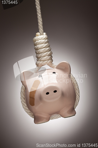 Image of Piggy Bank with Bandage Hanging in Hangman's Noose