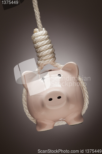 Image of Piggy Bank Hanging in Hangman's Noose