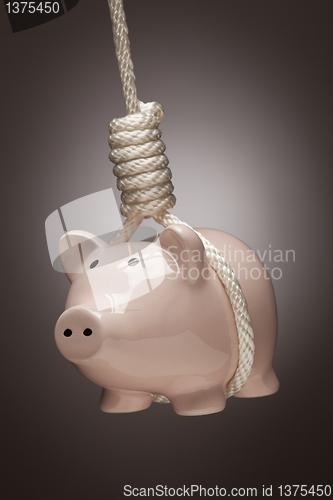 Image of Piggy Bank Hanging in Hangman's Noose