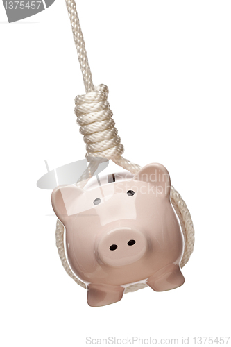 Image of Piggy Bank Hanging in Hangman's Noose on White