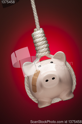 Image of Piggy Bank with Bandage Hanging in Hangman's Noose on Red