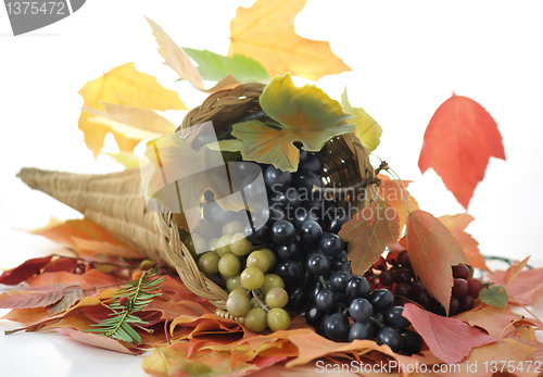 Image of fall composition