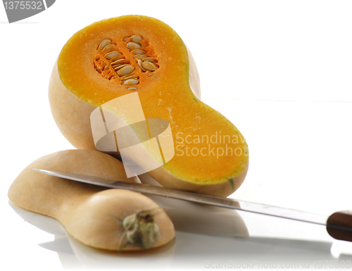 Image of Butternut squash
